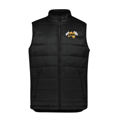 Picture of Men's Alpine Vest