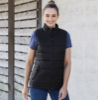 Picture of Women's Alpine Vest